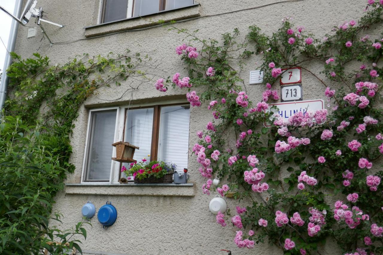 Apartment At Sedliacky Dvor - ברזנו מראה חיצוני תמונה